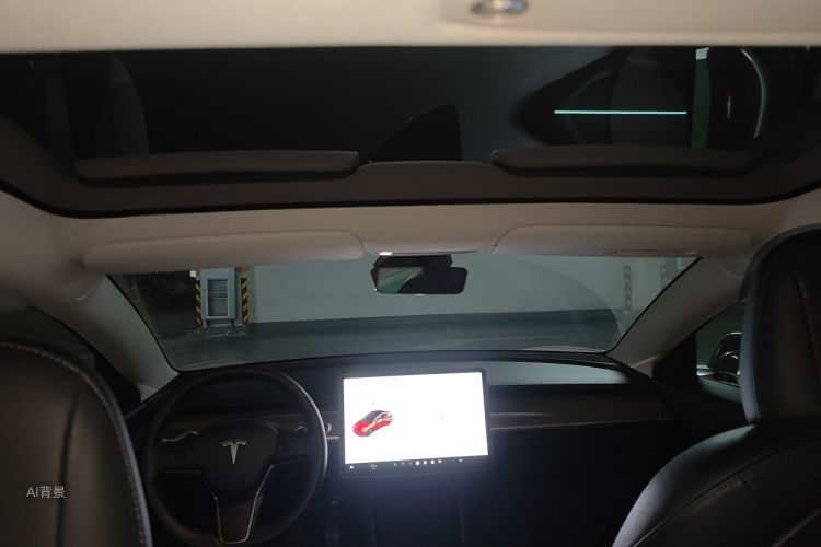 Tesla Model 3 2020 car image #20