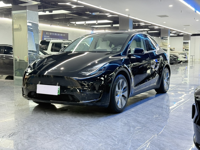 Tesla Model Y 2021 #2 Tesla Model Y 2021 car image #2