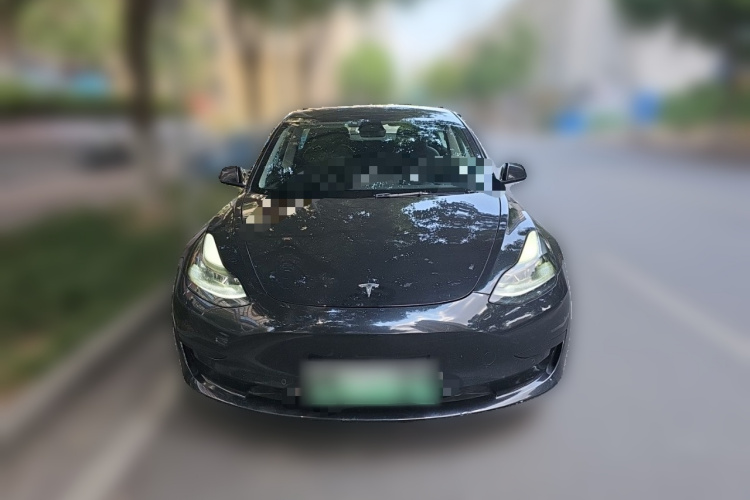 Tesla Model 3 2021 immagine di auto #3