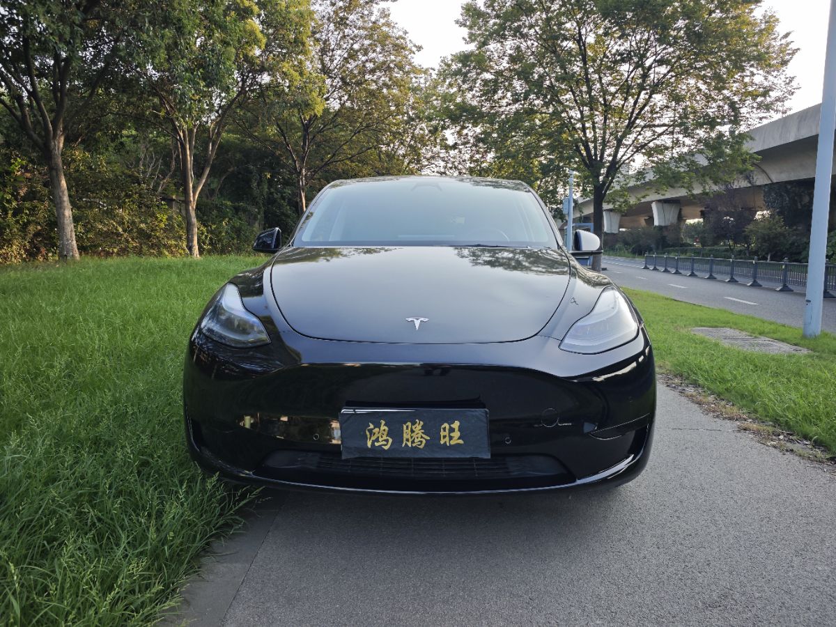 Tesla Model Y 2022 car image #2