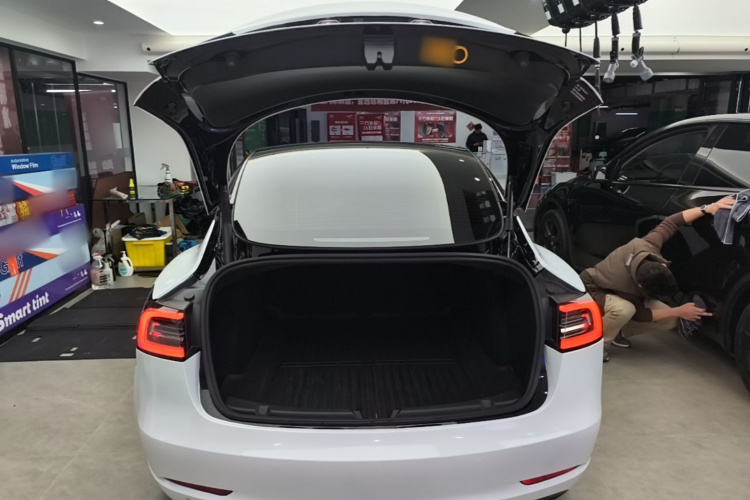 Tesla Model 3 2023 #19 Tesla Model 3 2023 car image #19