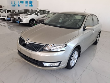 Skoda Rapid 2016 car image 