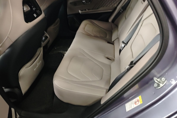 BYD Han 2024 car image #19