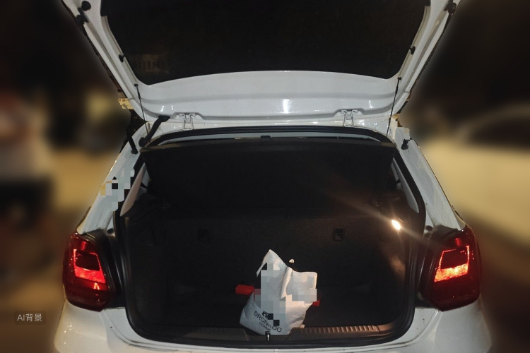 Volkswagen Polo 2015 car image #21
