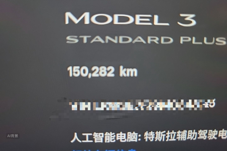 Tesla Model 3 2021 car image #14