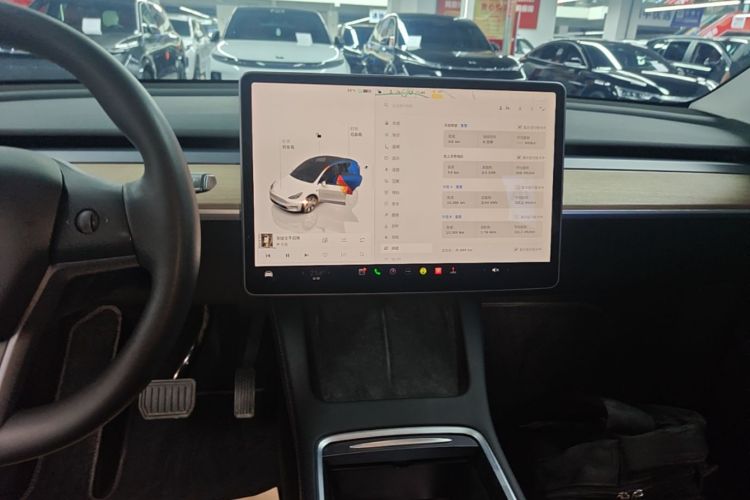 Tesla Model Y 2022 car image #13