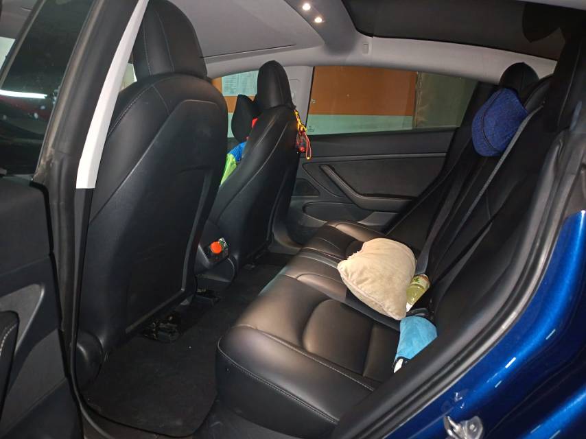 Tesla Model 3 2020 #3 Tesla Model 3 2020 car image #3