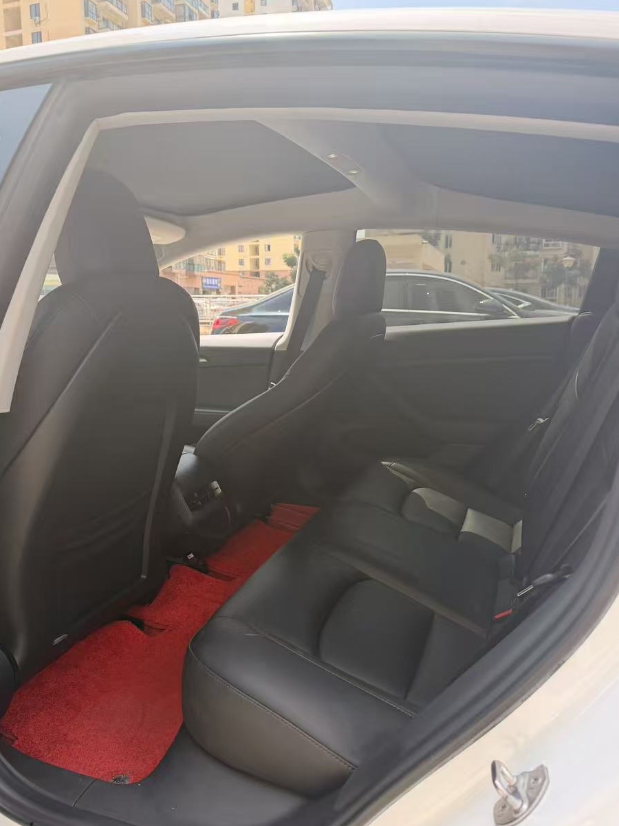 Tesla Model 3 2021 imagem de carro #8