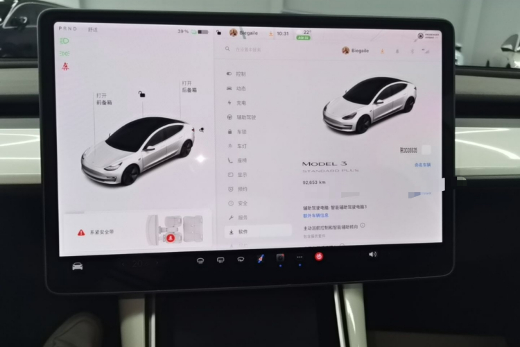 Tesla Model 3 2020 car image #12