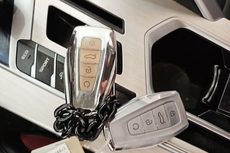 GEELY Coolray 2021 image de voiture #9