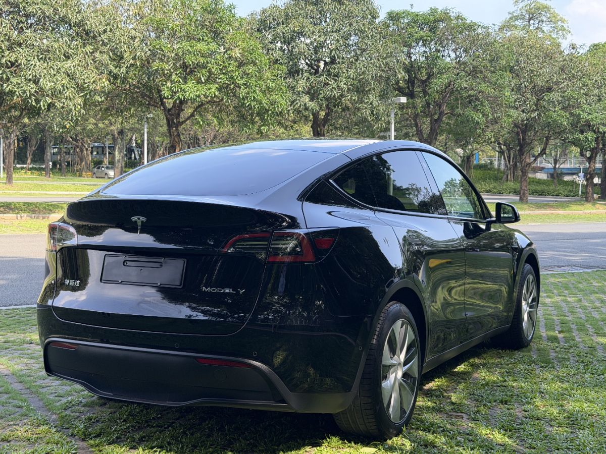 Tesla Model Y 2023 car image #7