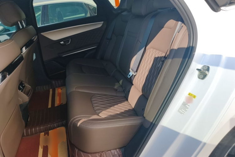 BYD Han 2023 #17 BYD Han 2023 immagine di auto #17