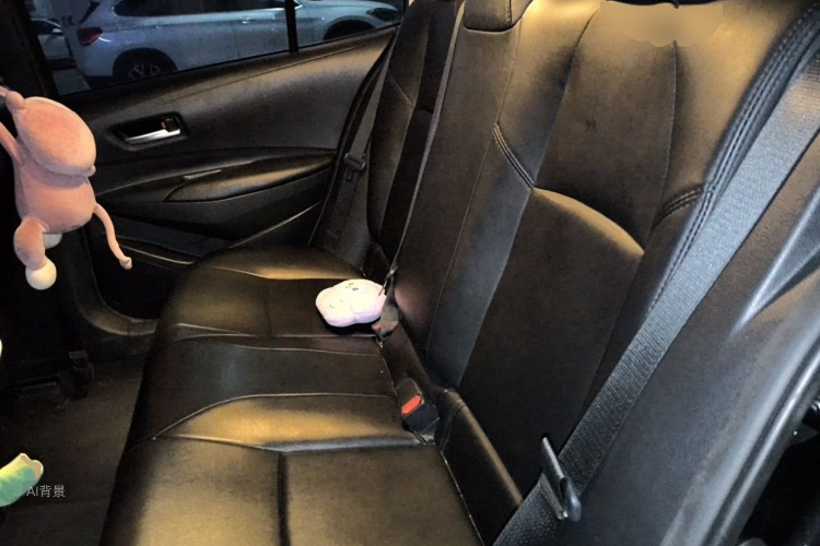 Toyota Corolla 2022 car image #19