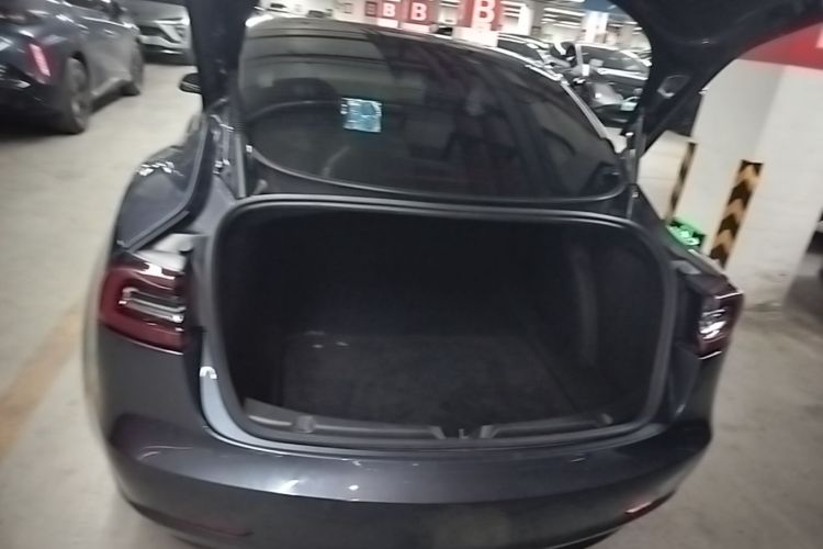 Tesla Model 3 2021 #19 Tesla Model 3 2021 car image #19