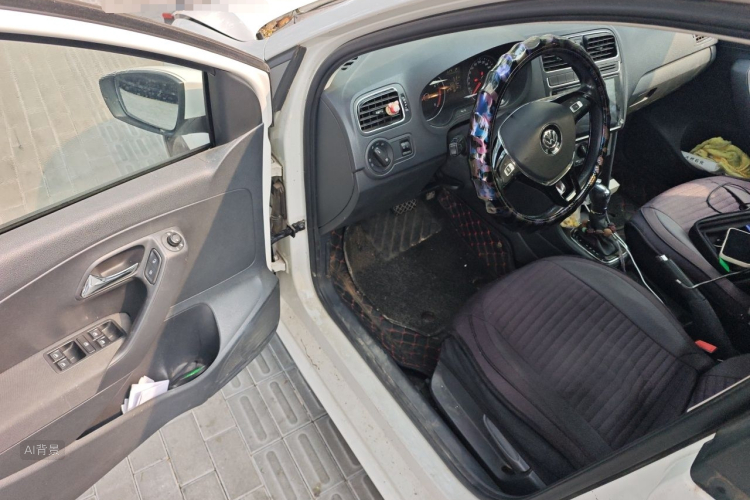 Volkswagen Polo 2016 car image #18