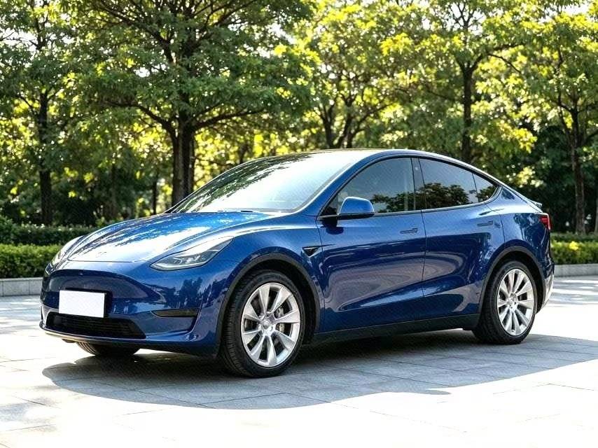 Tesla Model Y 2022 Tesla Model Y 2022 car image