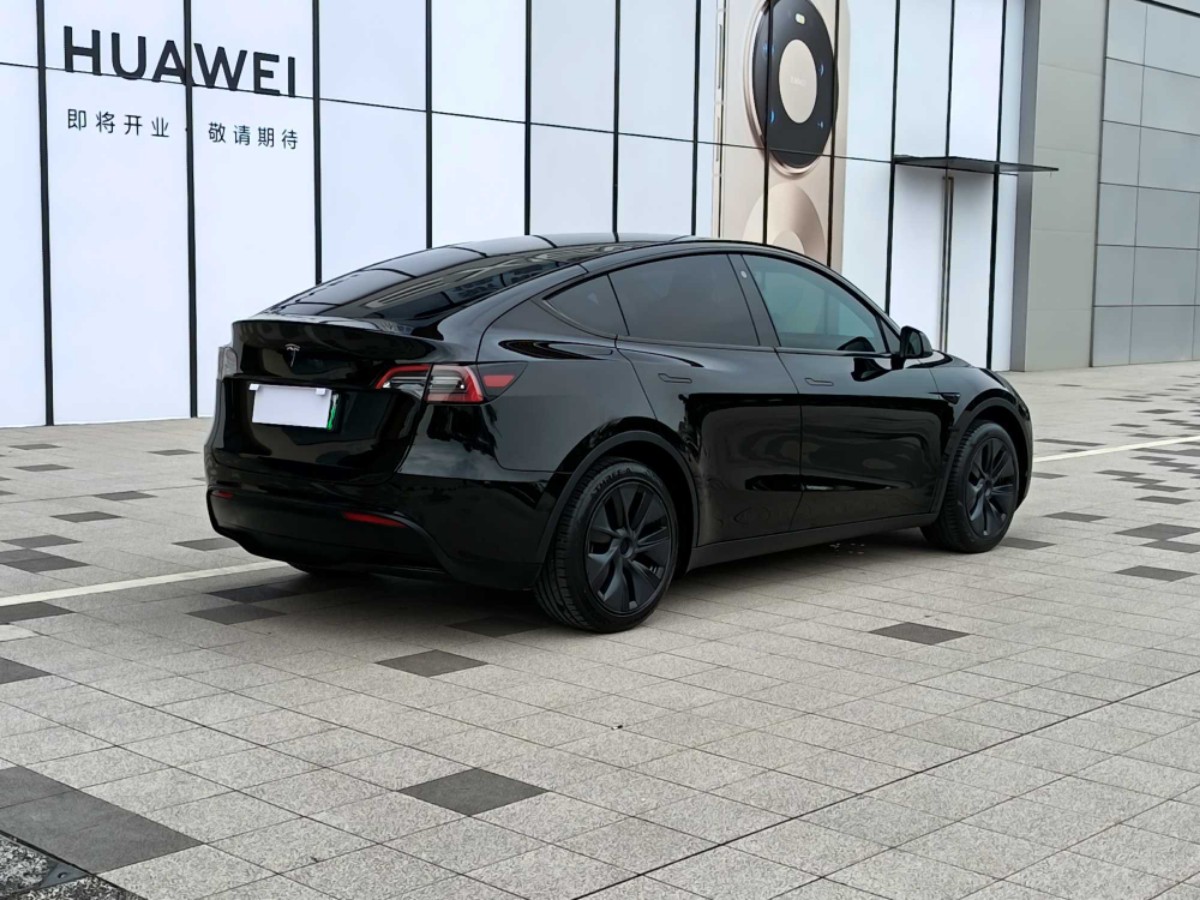 Tesla Model Y 2024 car image #4
