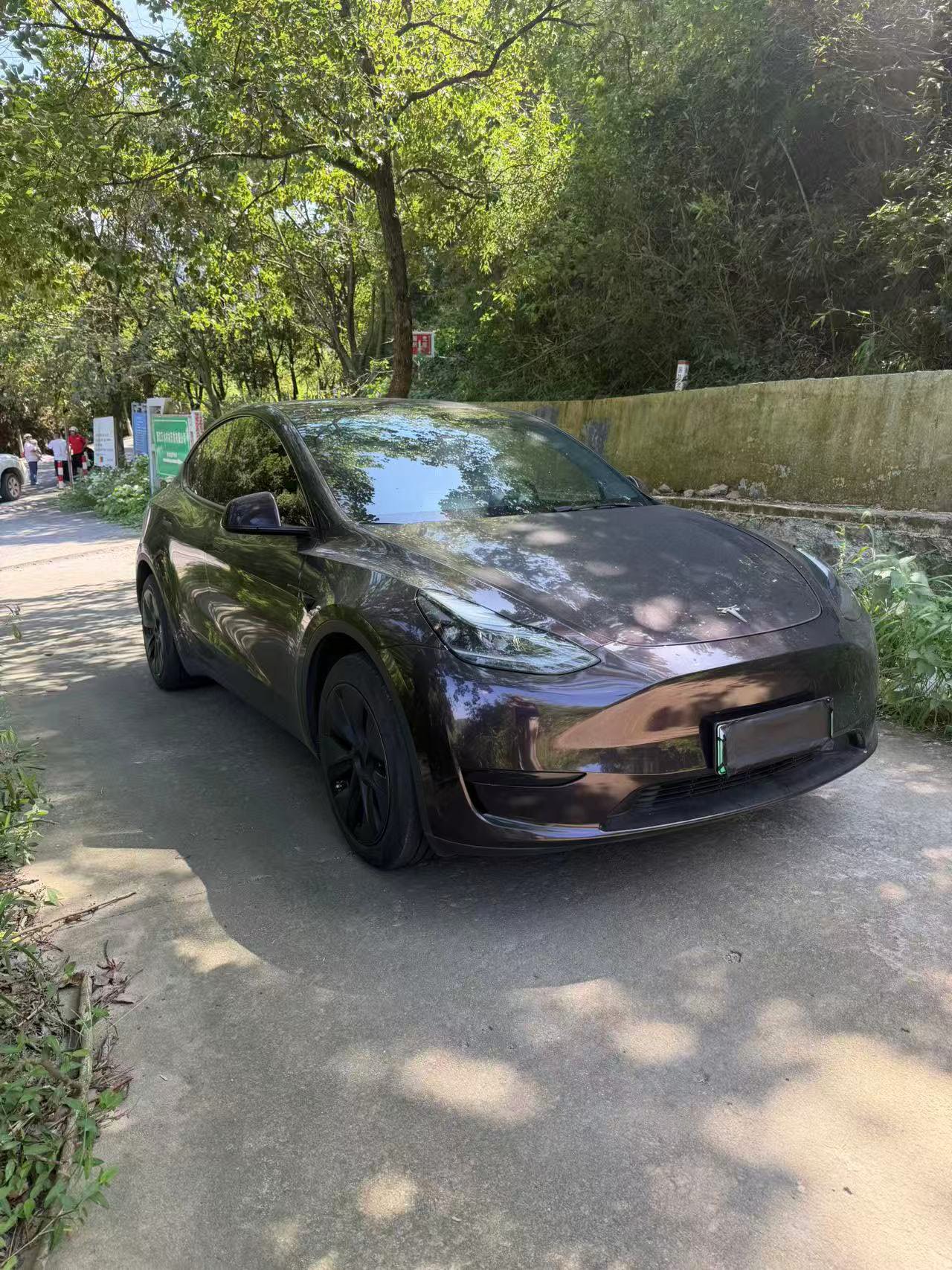 Tesla Model Y 2025 car image #3