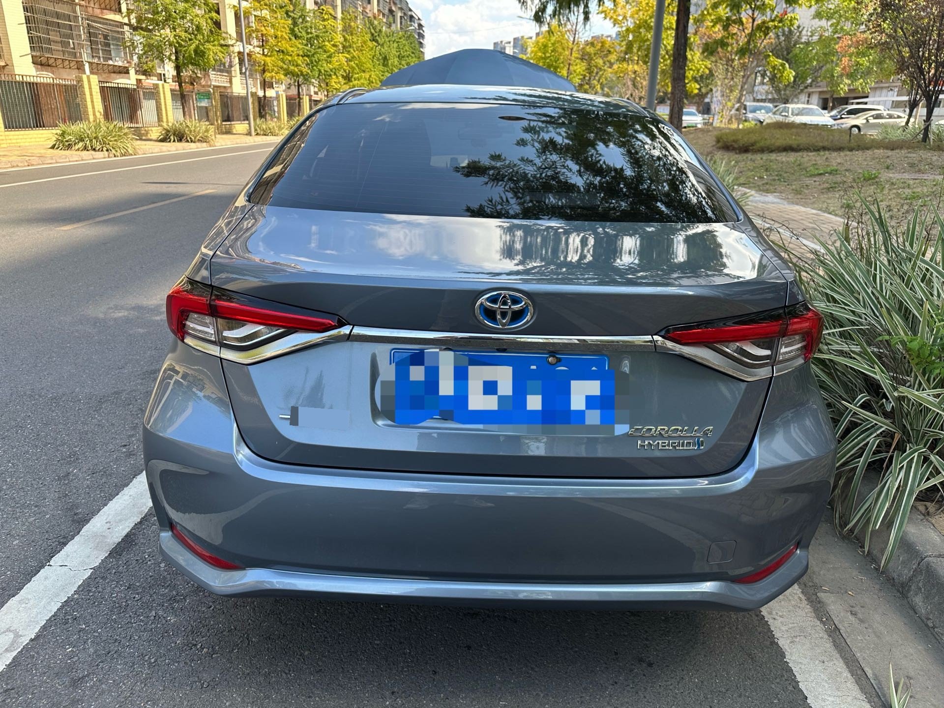 Toyota Corolla 2024 car image #7