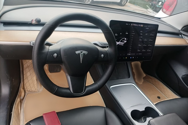 Tesla Model 3 2021 #11 Tesla Model 3 2021 car image #11