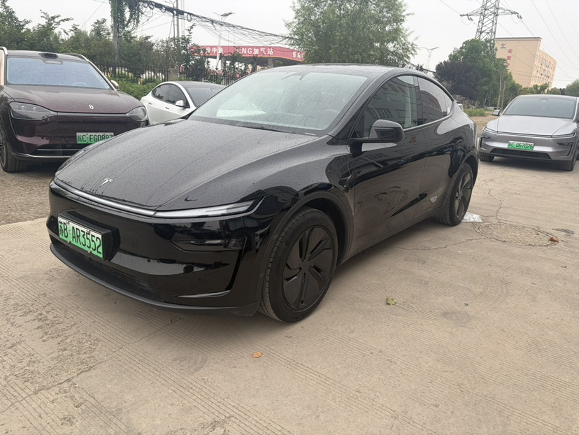 Tesla Model Y 2025 car image 