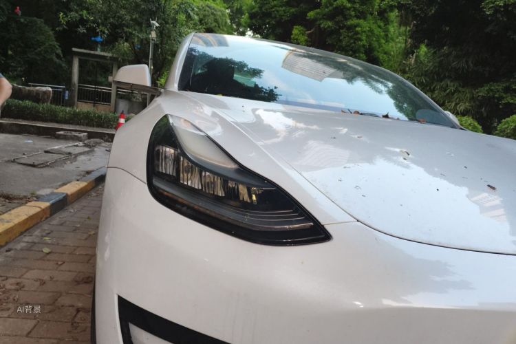 Tesla Model 3 2020 car image #8