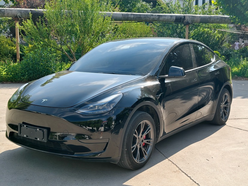 Tesla Model Y 2023 Tesla Model Y 2023 car image