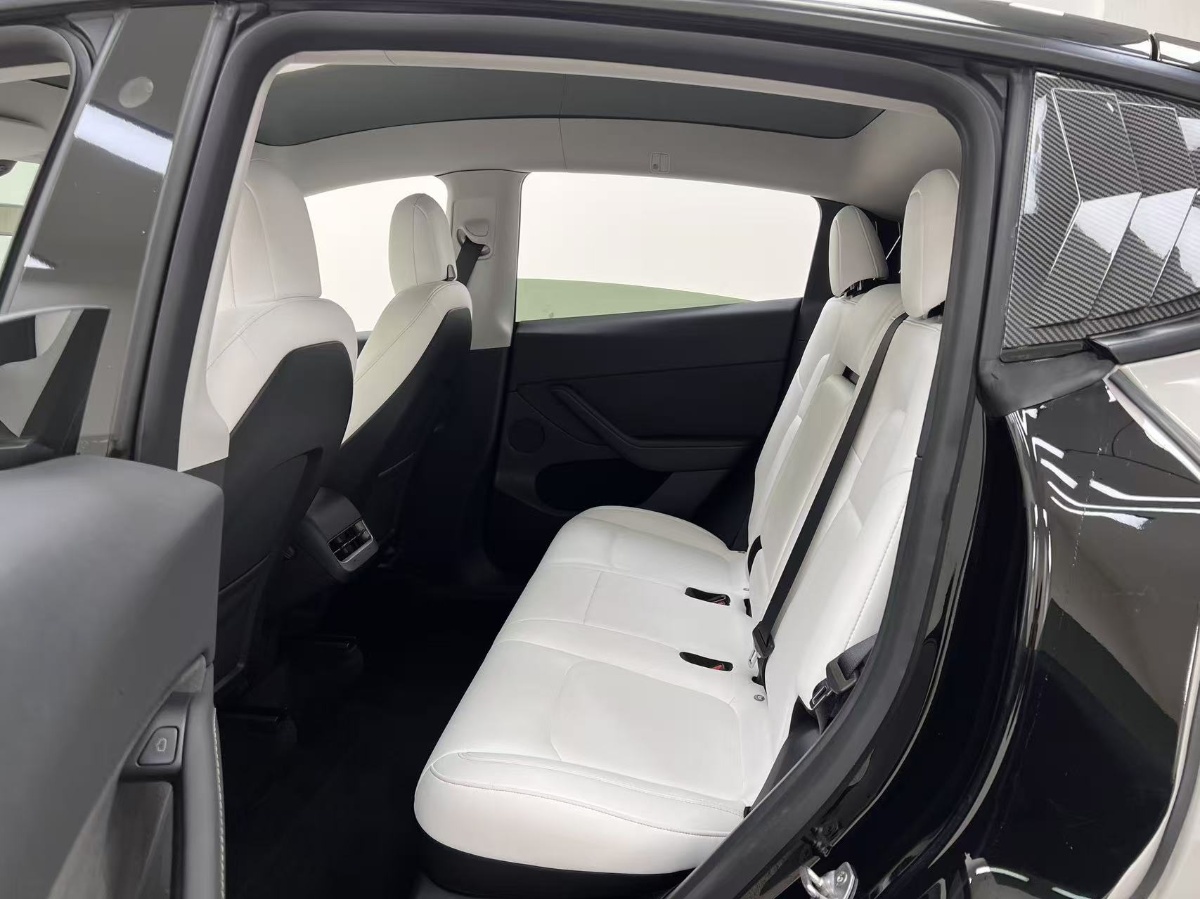 Tesla Model Y 2021 #6 Tesla Model Y 2021 car image #6