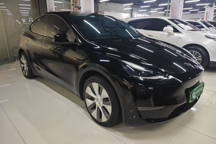 Tesla Model Y 2021 immagine di auto #4