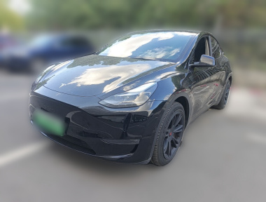 Tesla Model Y 2021 Tesla Model Y 2021 car image