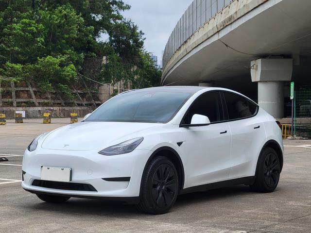 Tesla Model Y 2023 #25 Tesla Model Y 2023 car image #25