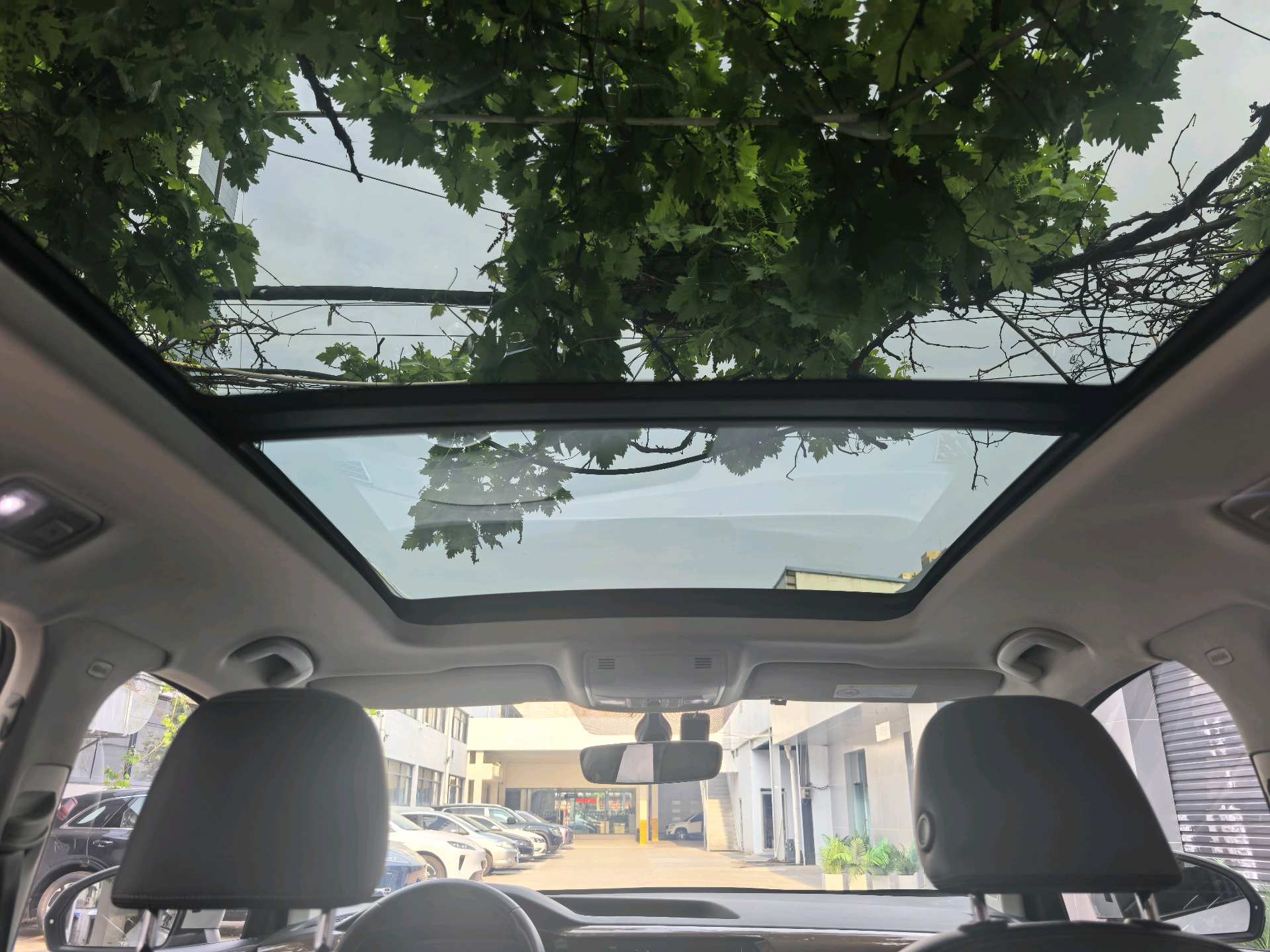 Volkswagen Tharu 2020 immagine di auto #12