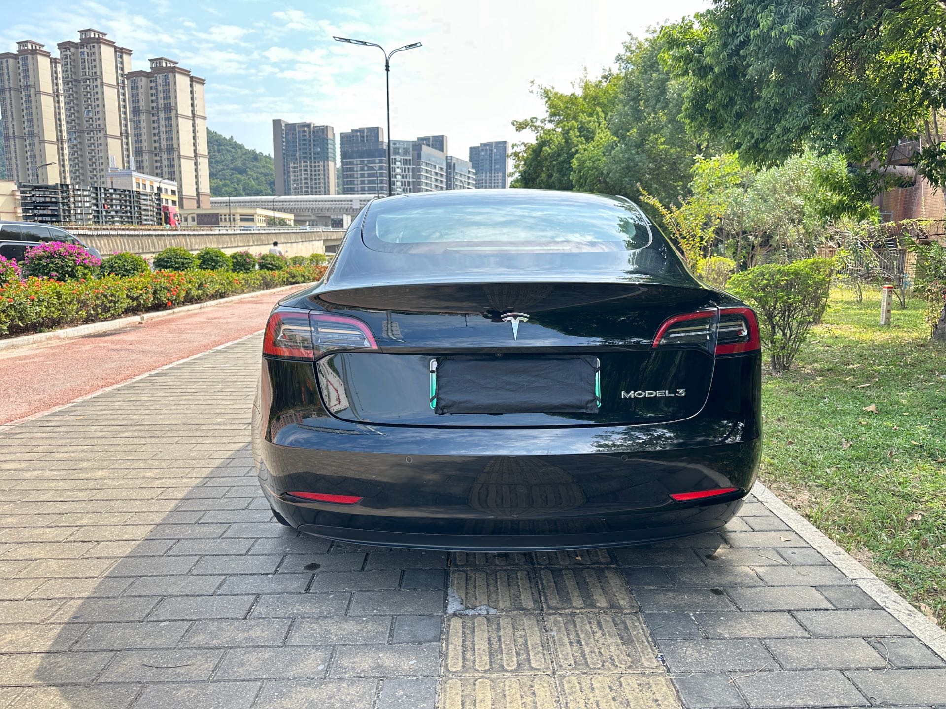 Tesla Model 3 2021 imagen de coche #8
