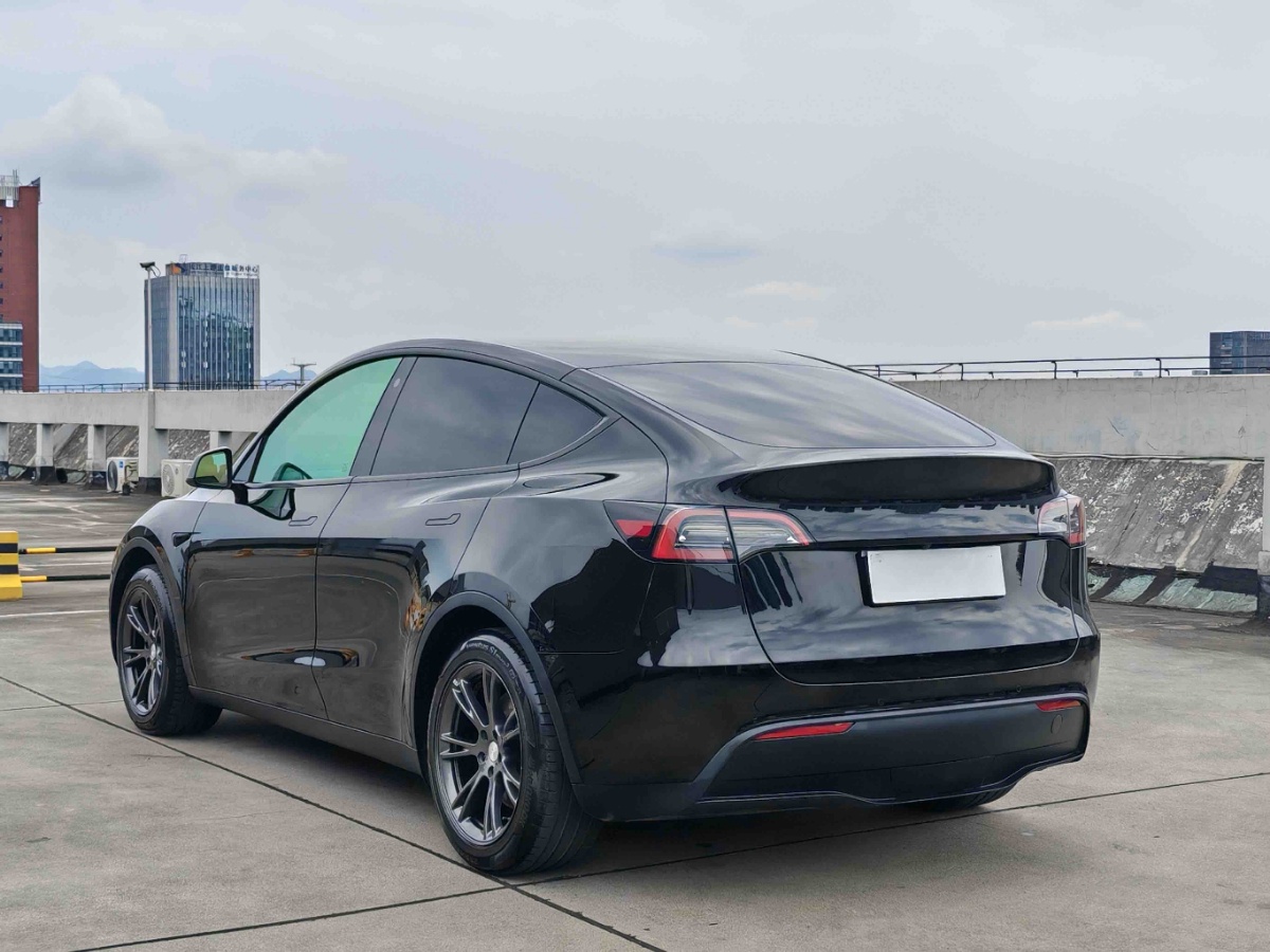 Tesla Model Y 2024 immagine di auto #5