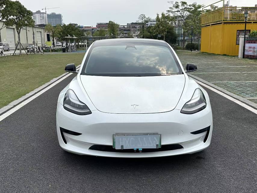 Tesla Model 3 2020 car image #4