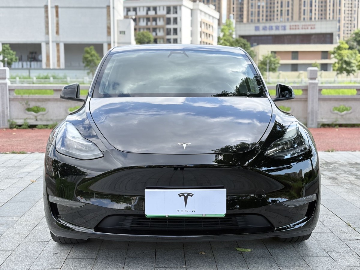 Tesla Model Y 2021 #2 Tesla Model Y 2021 car image #2