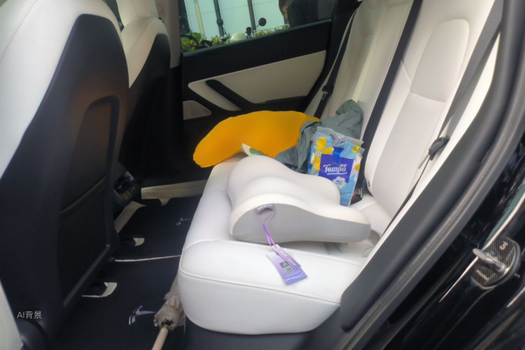 Tesla Model 3 2020 car image #19