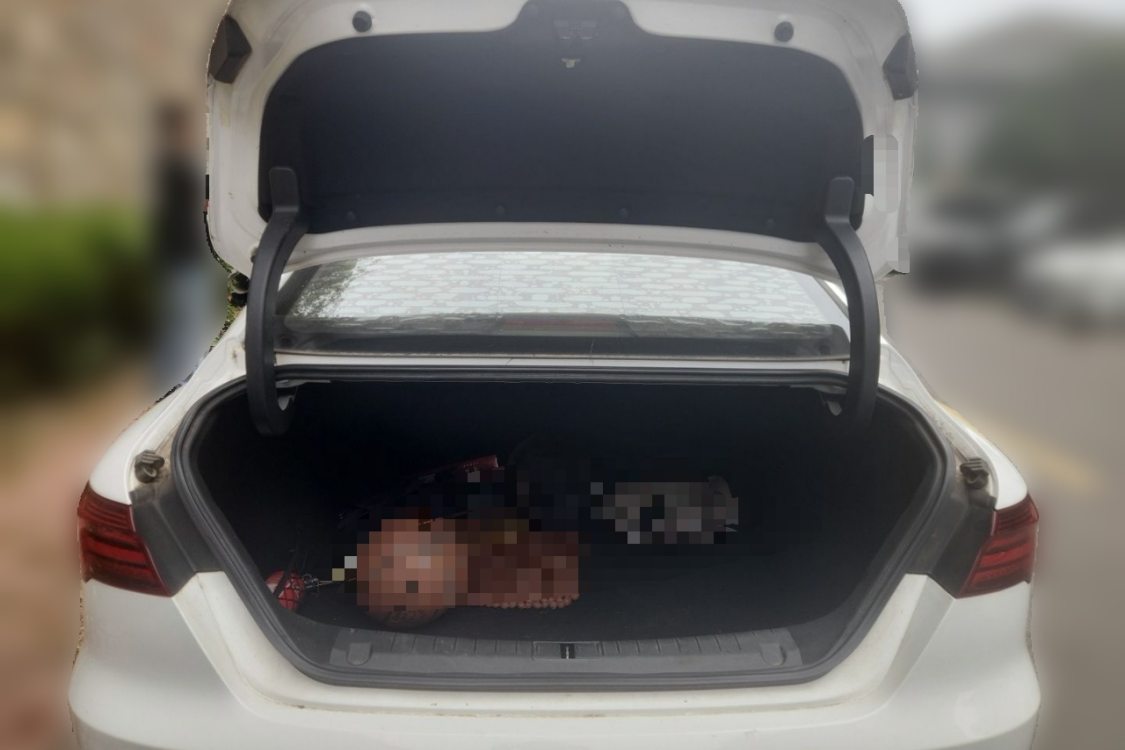 GEELY Binray 2018 car image #8