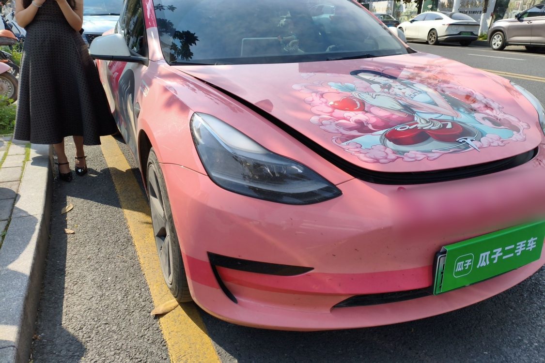 Tesla Model 3 2023 car image #7
