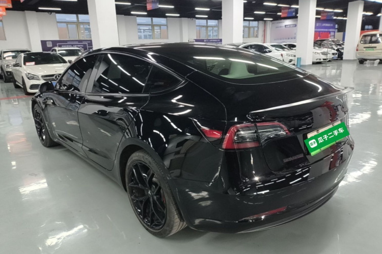 Tesla Model 3 2021 #5 Tesla Model 3 2021 car image #5