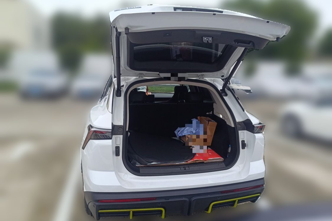 Jetour Dashing 2024 car image #8