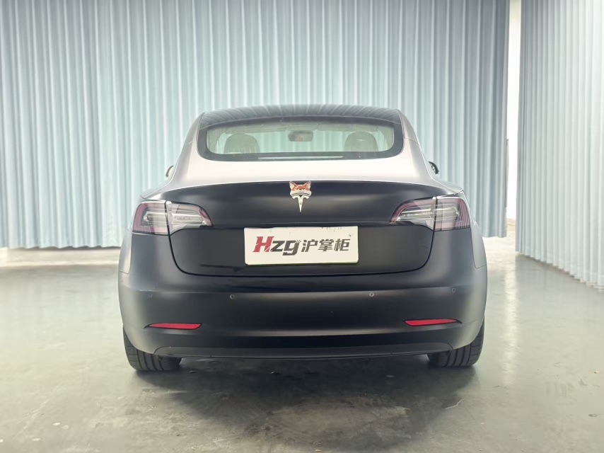 Tesla Model 3 2020 car image #7