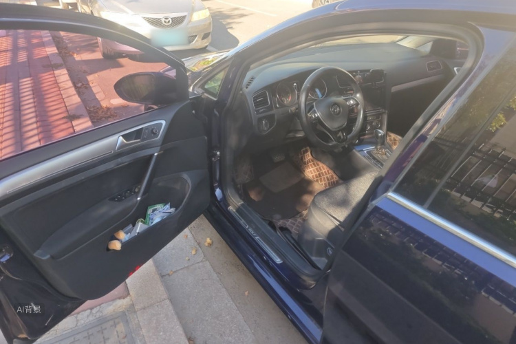 Volkswagen Golf 2019 car image #18