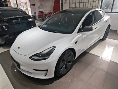Tesla Model 3 2023 Tesla Model 3 2023 car image