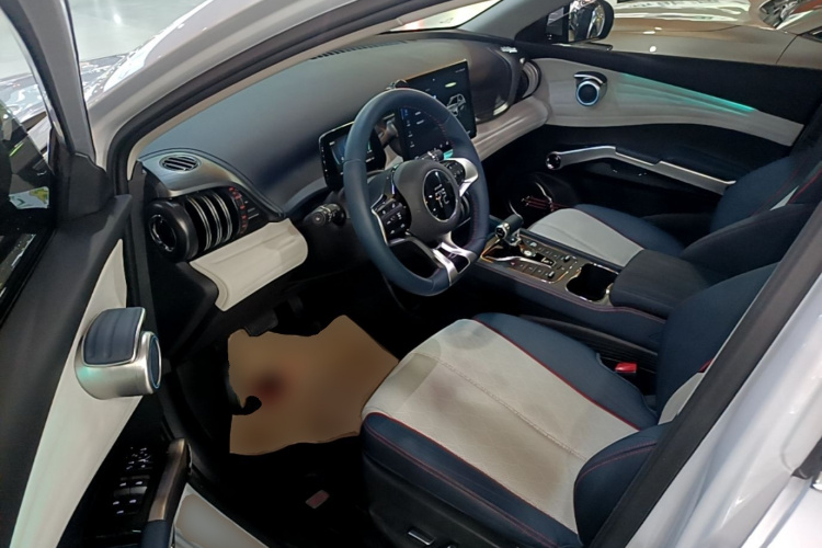 BYD Yuan Plus 2023 car image #16
