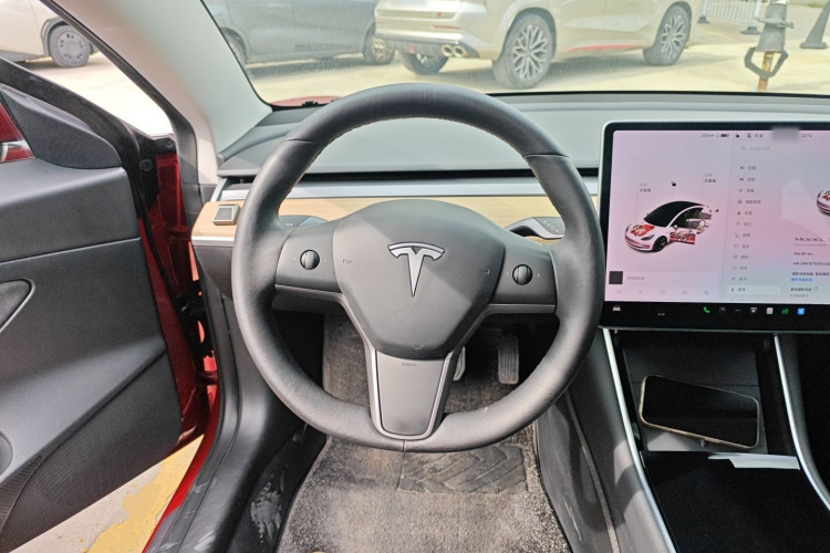 Tesla Model 3 2020 car image #11