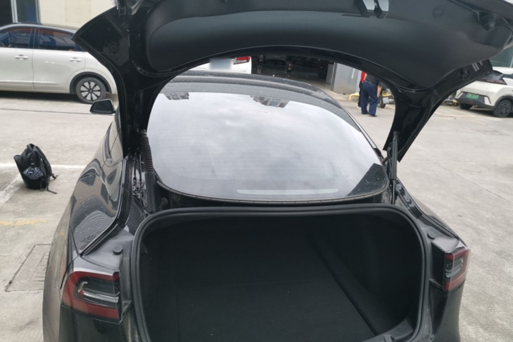 Tesla Model 3 2021 immagine di auto #19