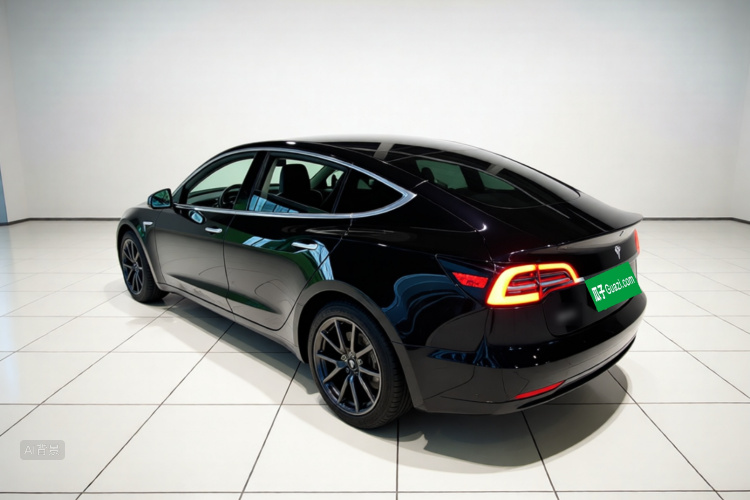 Tesla Model 3 2020 car image #5