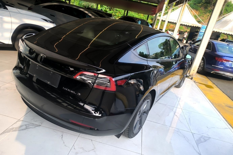 Tesla Model 3 2021 immagine di auto #7
