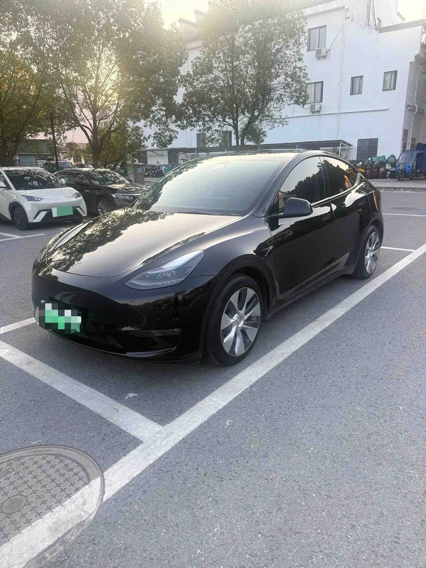 Tesla Model Y 2021 immagine di auto 